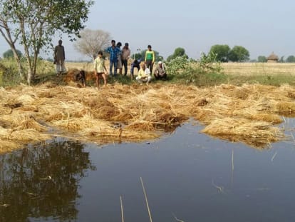 bjp mp calls agra dm anti-farmer 