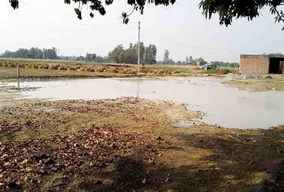 react of weather with heavy rain and storm 