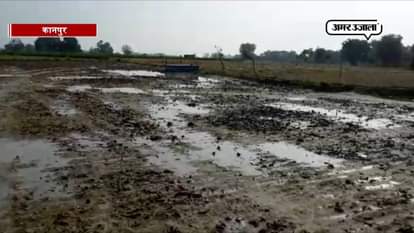 Thunderstorm destroy the crop in Kanpur