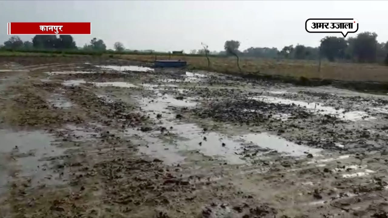 कानपुर