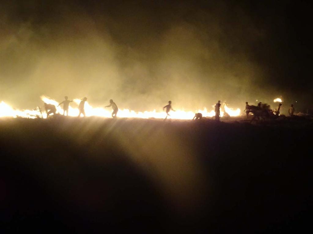 crop turn to ashes