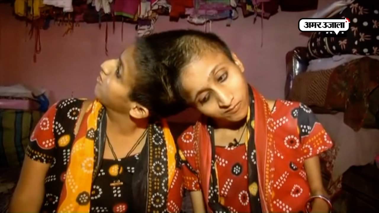 सलमान  खान 