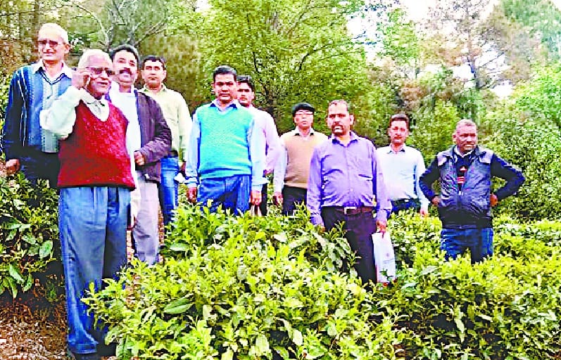 Kausani's closed tea factory will soon open