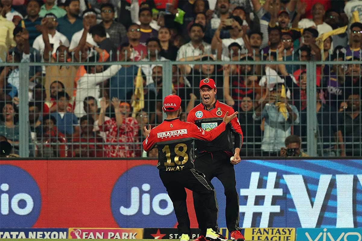 AB de Villiers says alex Hales catch is very special in his cricket career