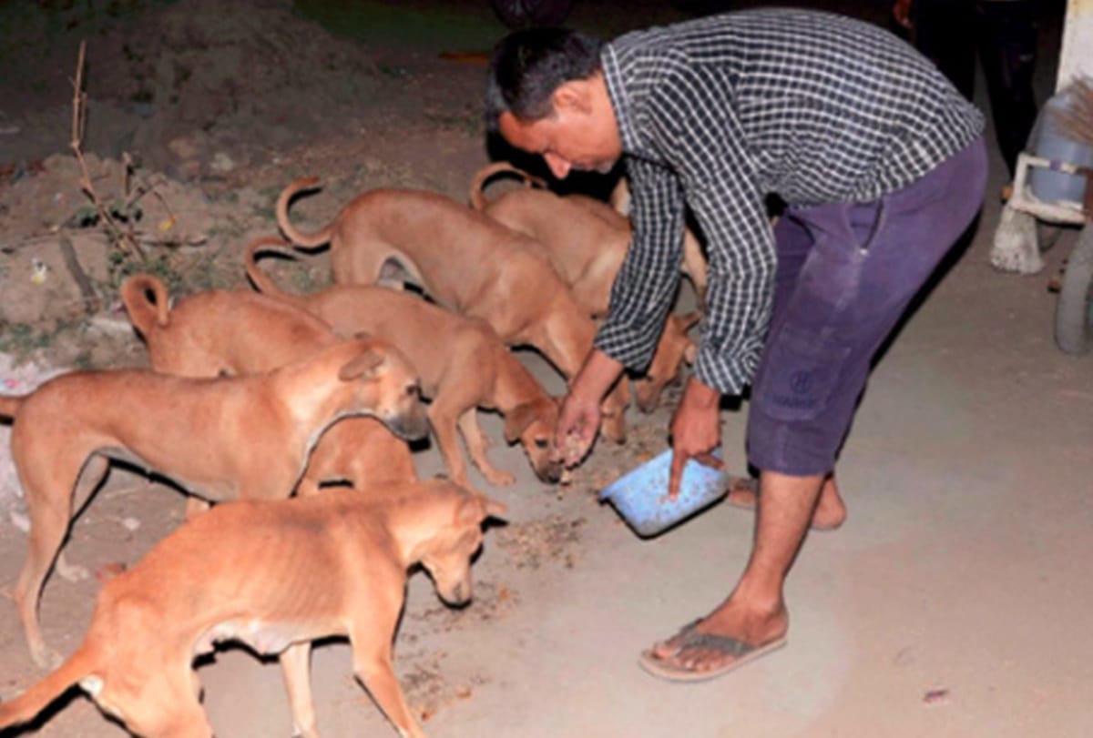 this trust of gujarat village have crorepati canines
