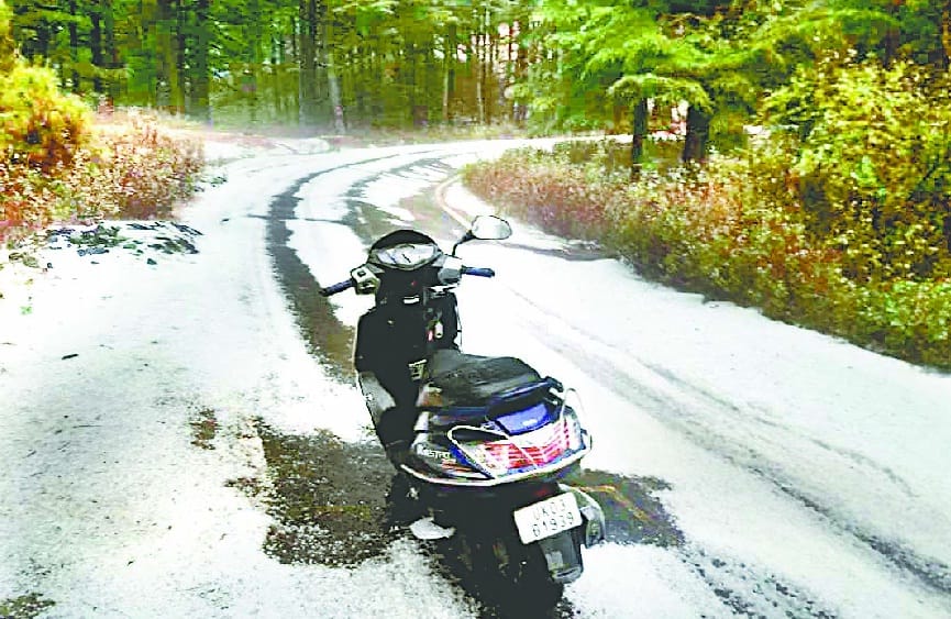 crop destroyed by hailstorms