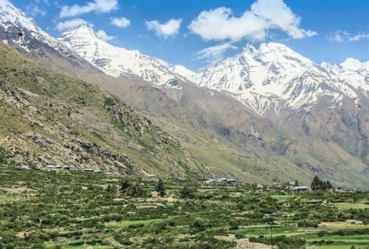 soil erosion leads to decline forest area in kinnaur himachal pradesh