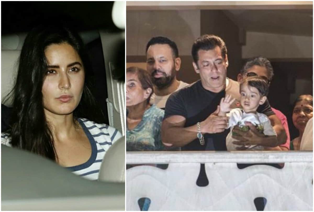 salman khan gets bail in Black Buck Poaching Case is he gets married with katrina or iulia vantur