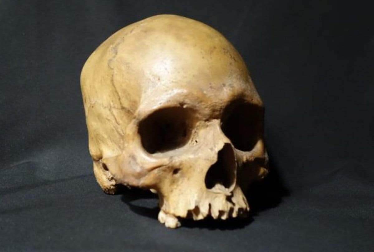 The skull of a Muslim rebel found in London in 1857