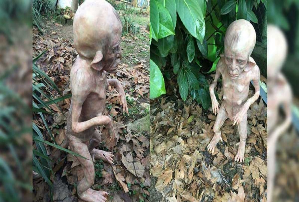 viral truth of alien spotted in chandoli at uttar pradesh
