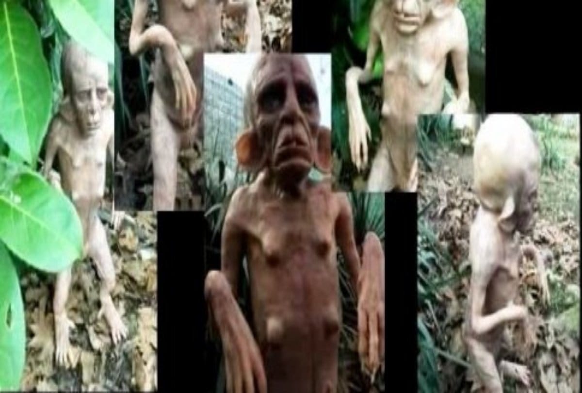 viral truth of alien spotted in chandoli at uttar pradesh