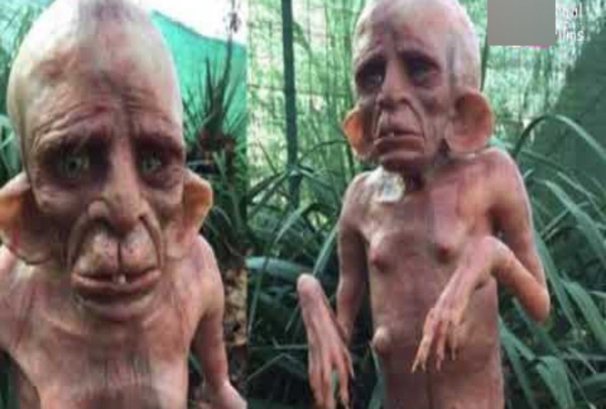 viral truth of alien spotted in chandoli at uttar pradesh