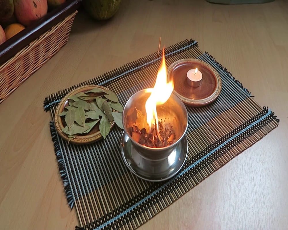 Know how Bay leaves are the best natural cockroach repellent