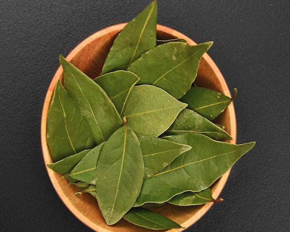 Know how Bay leaves are the best natural cockroach repellent