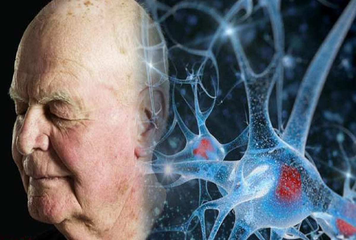 Old people brain cells may also develop like young age people