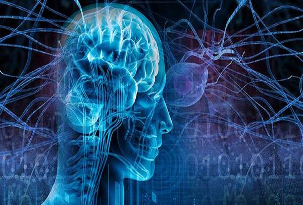 Old people brain cells may also develop like young age people
