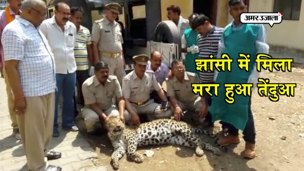 झांसी