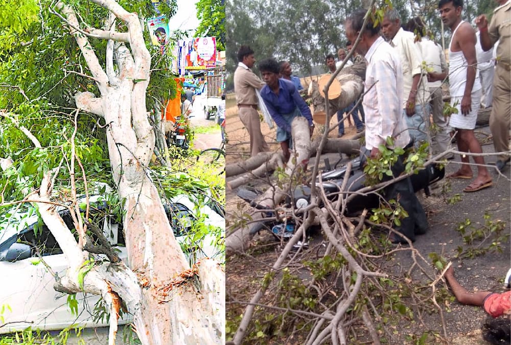 death because of storm in awadh.