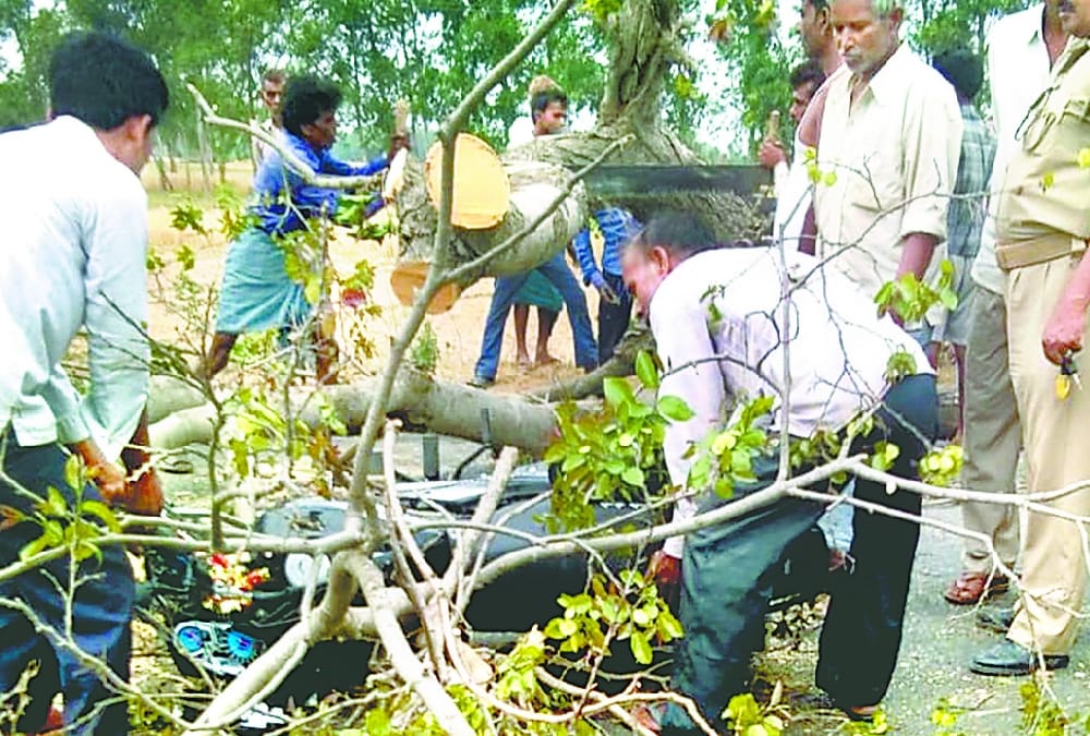 death because of storm in awadh.