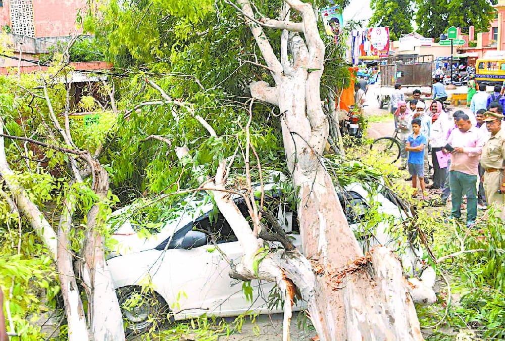 death because of storm in awadh.