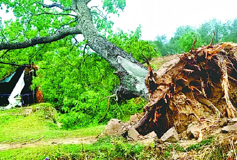 death because of storm in awadh.