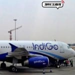INDIGO(Demo pic)