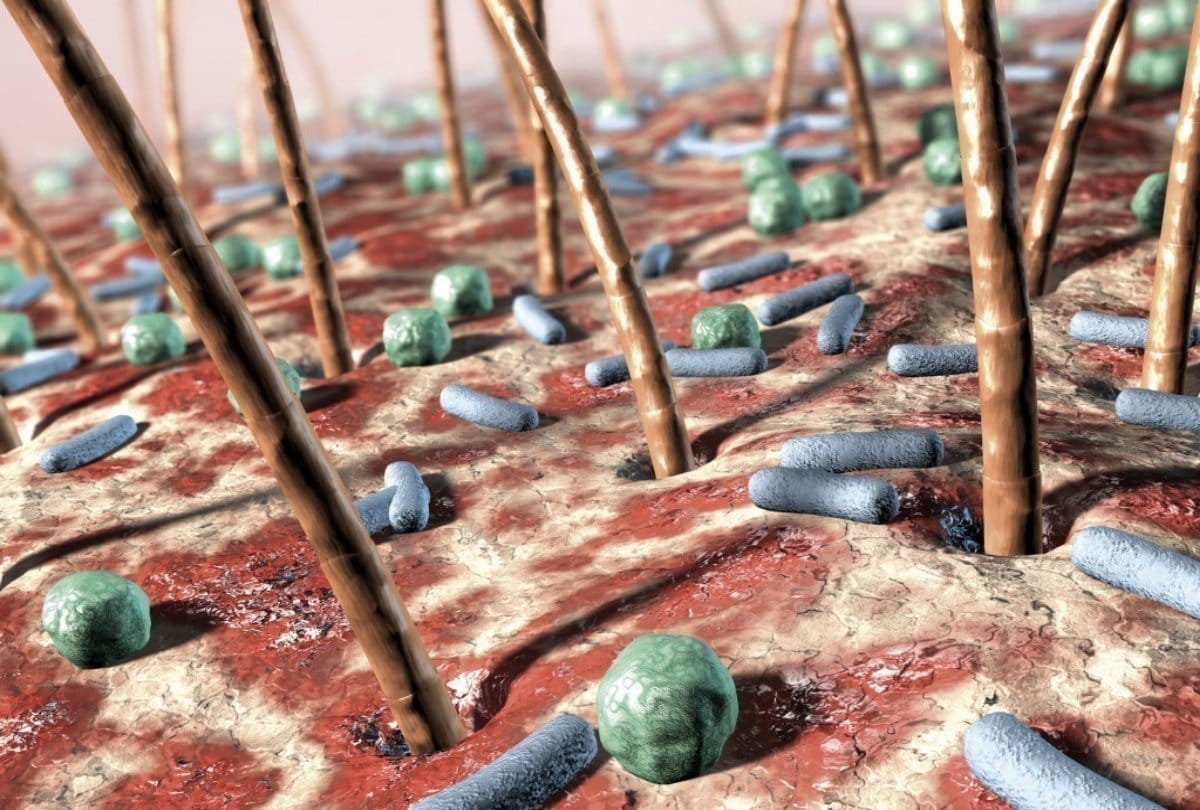 Know How bacteria stick harmful for human cells