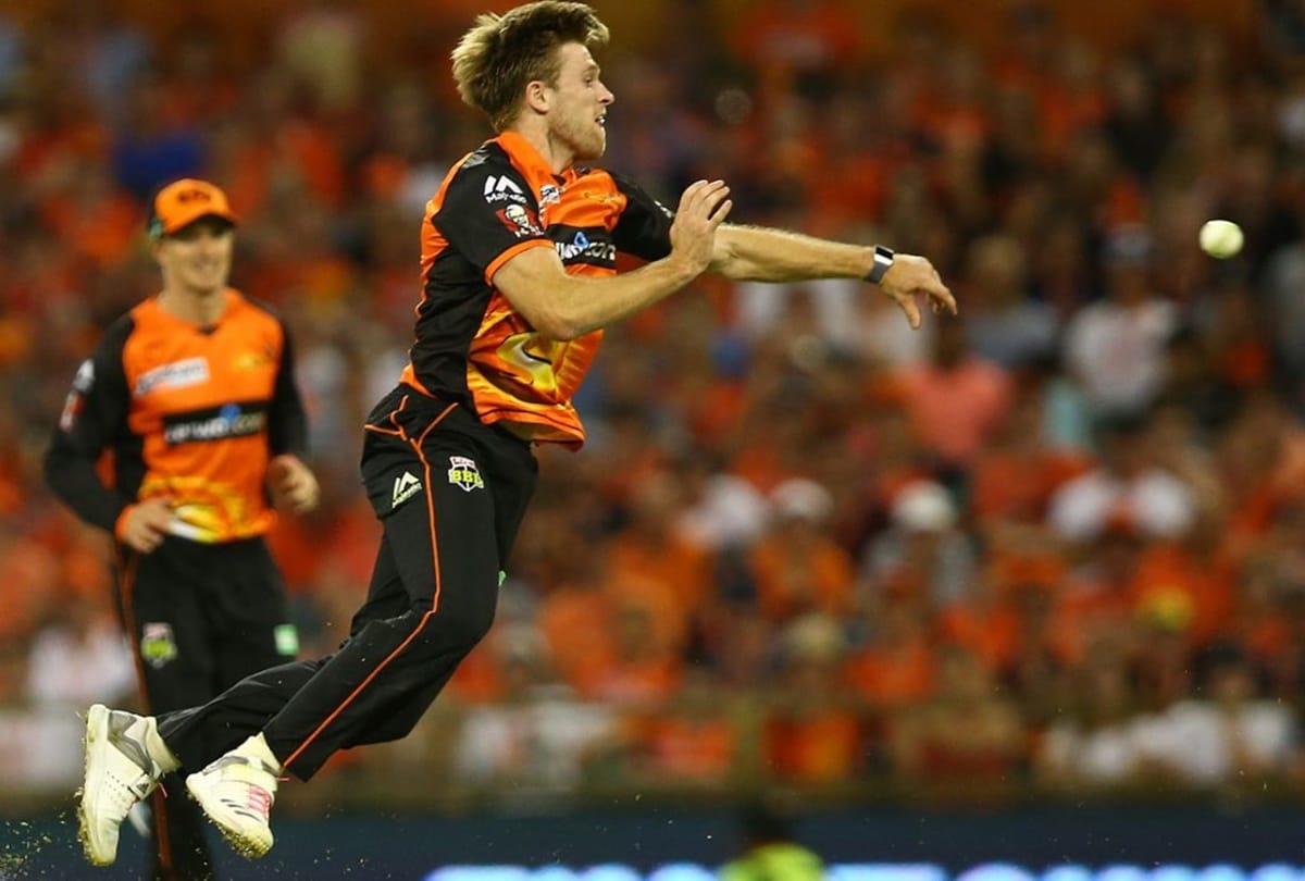 chennai super kings player david willey returns england due to new born baby