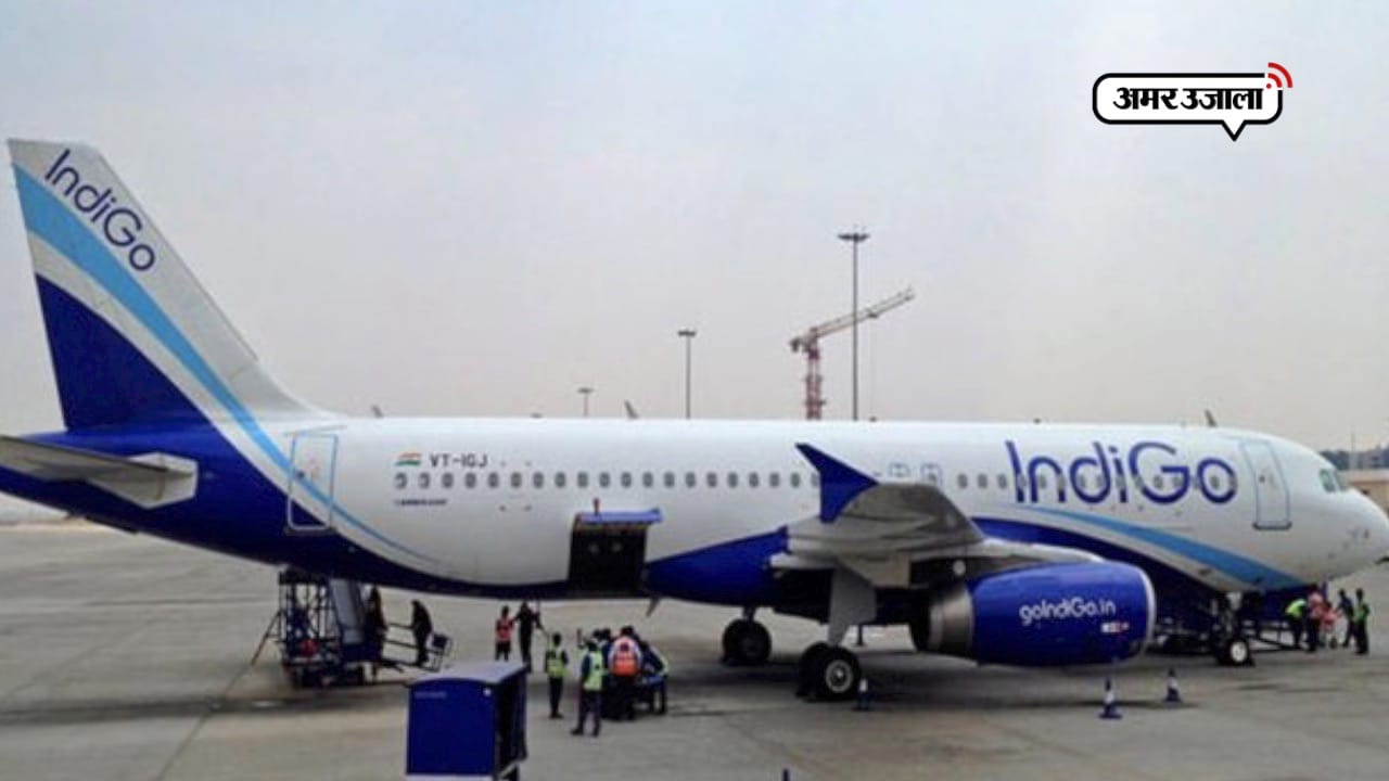 INDIGO