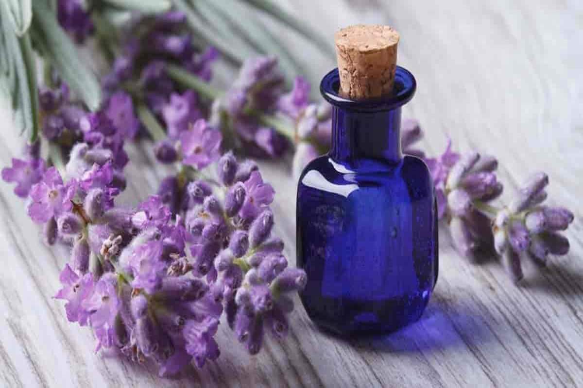 replacement of perfume with these essential oils