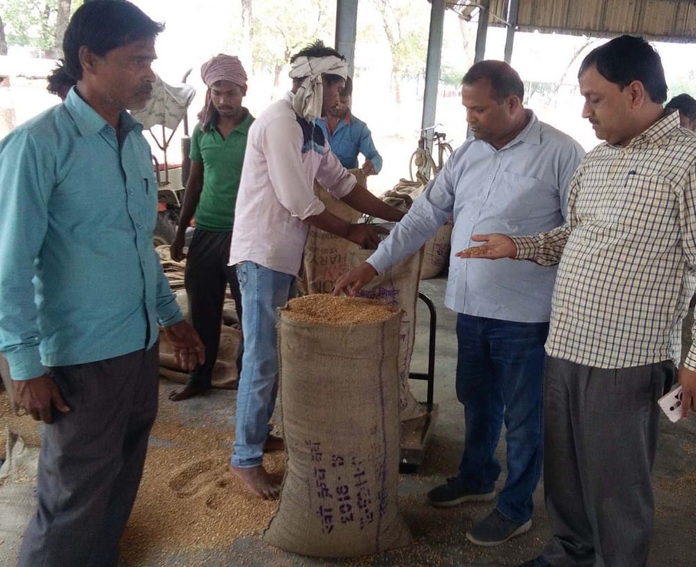 pcf wheat buying ceners are not started
