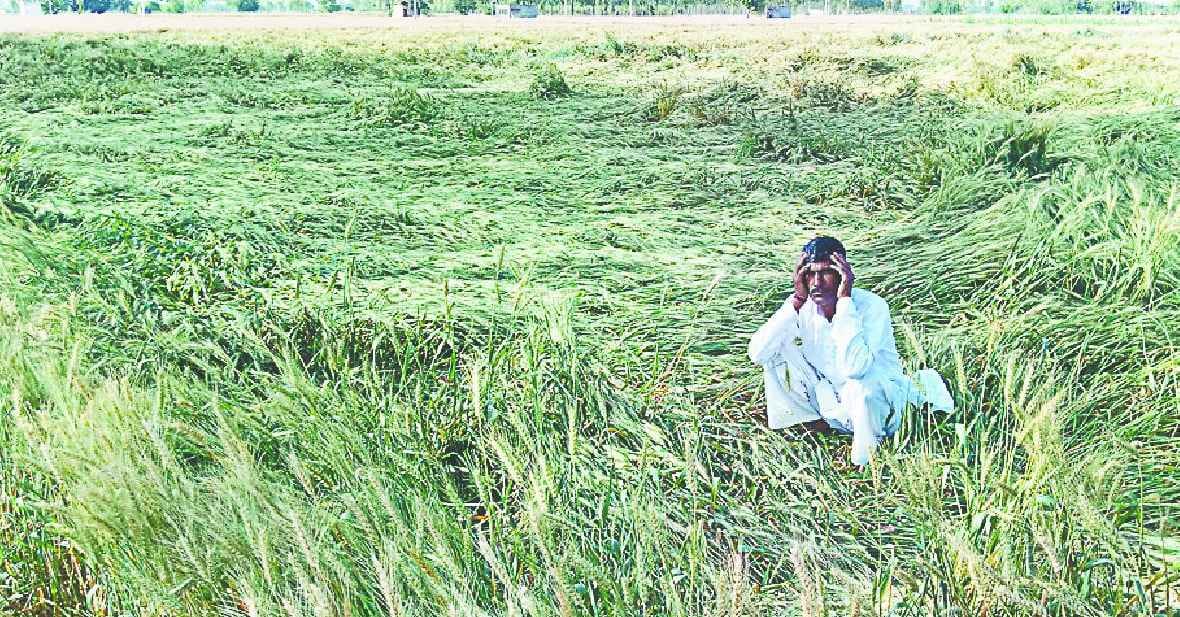 Bundabandi for farmers became aggrieved