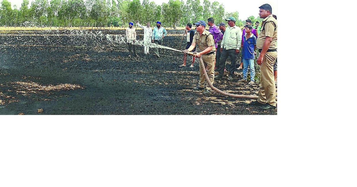 wheat crop burned from short circuits
