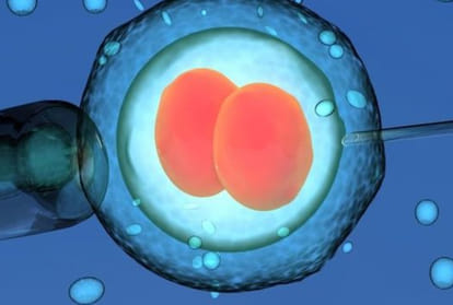 American Girl filed case against a doctor who cheated her mother for IVF