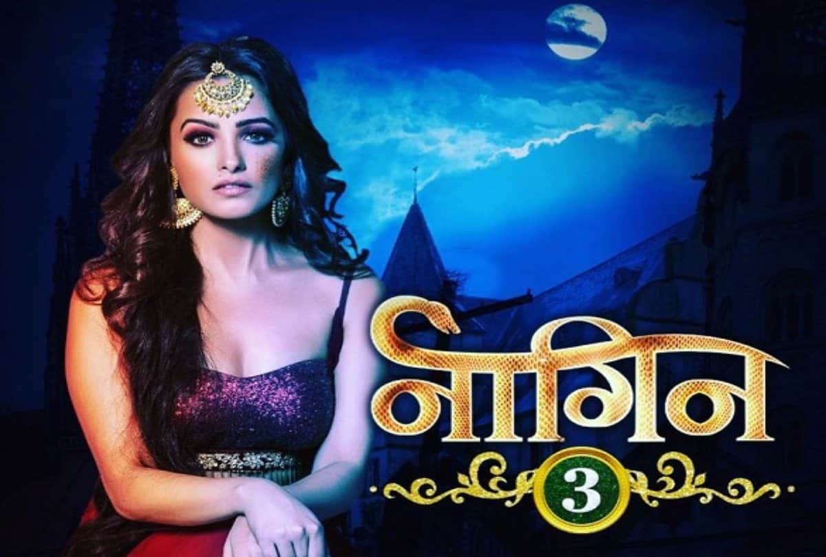 Nagin and Yeh hai Mohabbatein Fame Actress Anita Hassanandani Birthday Special her Then and Now Look
