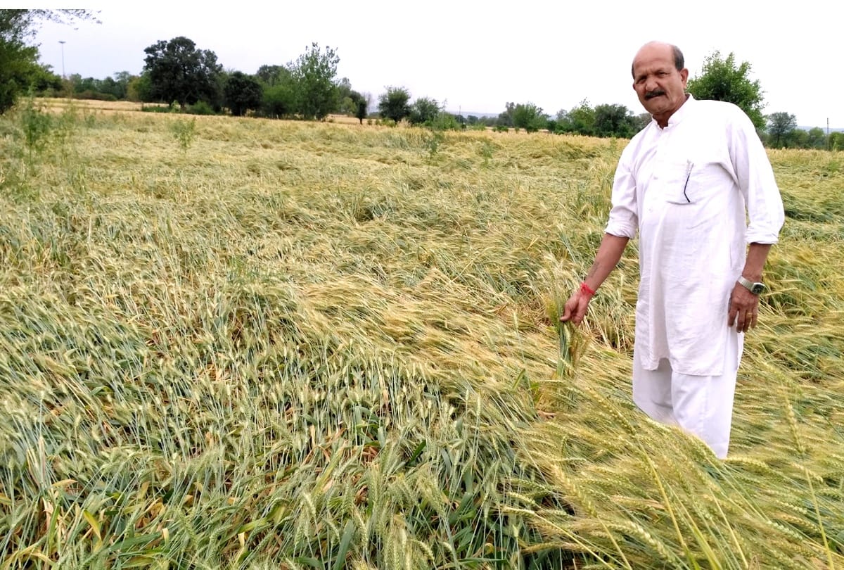 Prime Minister Crop Insurance Scheme FILL the damage of the crop
