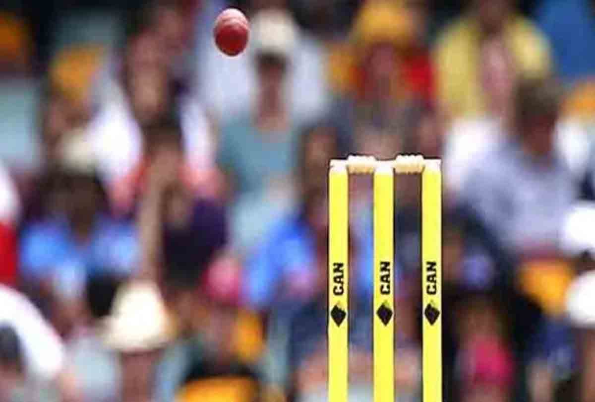 COINS game in IPL betting