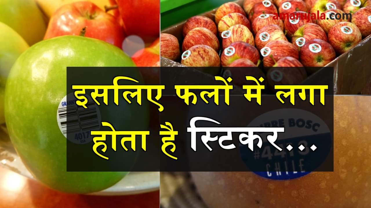 codes available on fruits