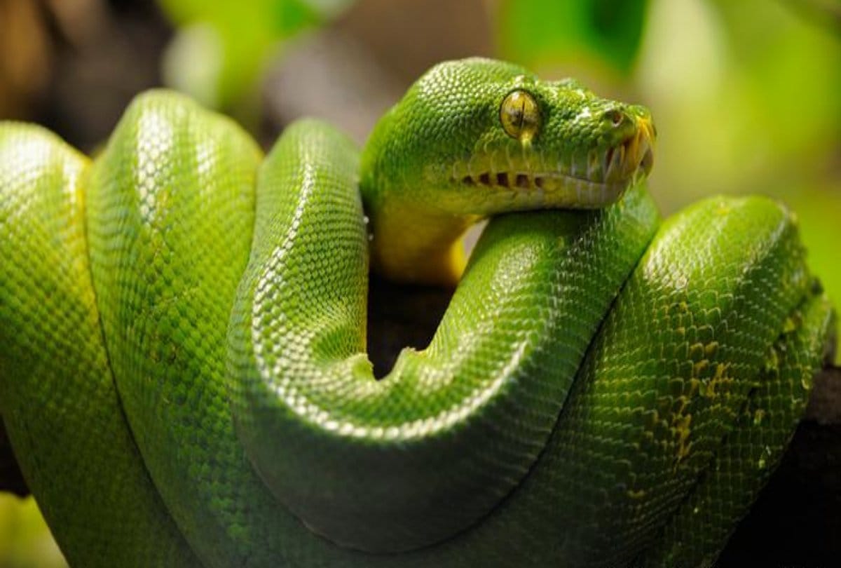 Eight hidden facts Facts about world of science