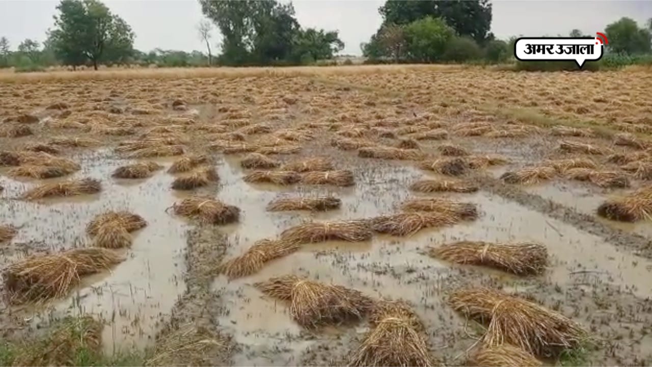 कन्नौज