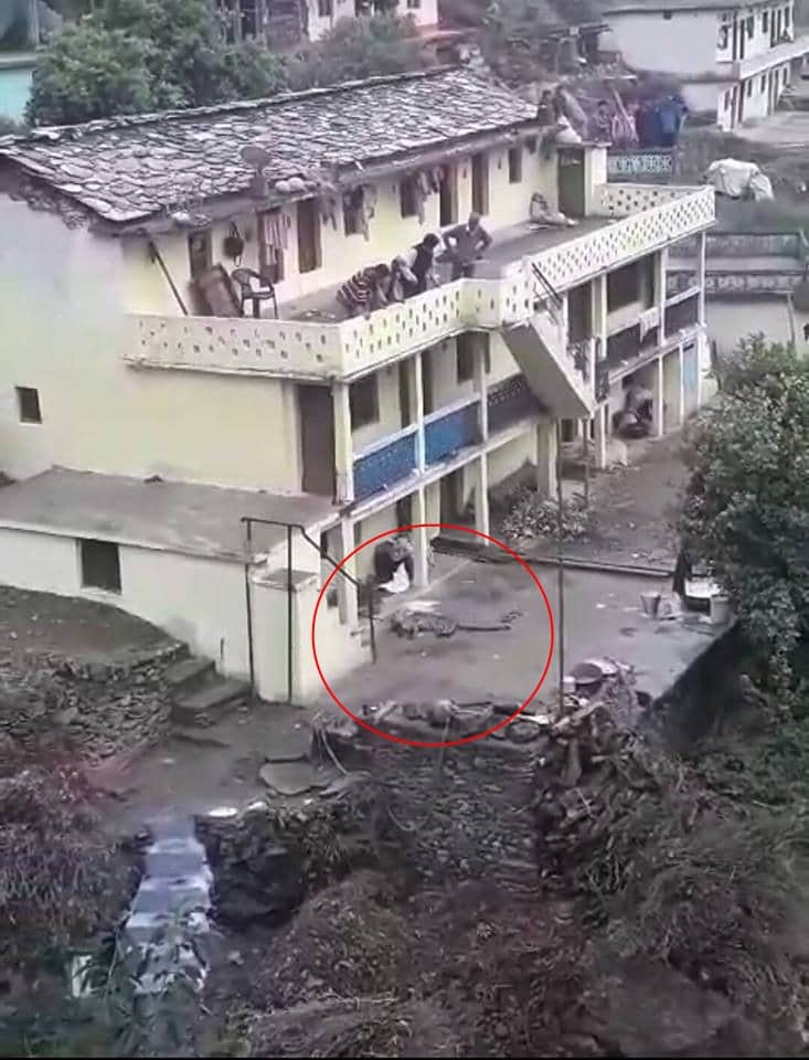 Leopard in house live photos captured in camera