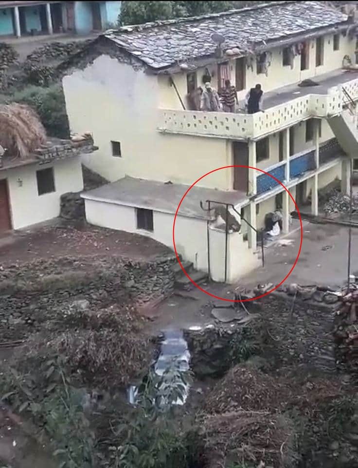 Leopard in house live photos captured in camera