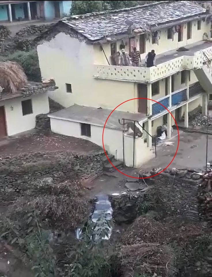 Leopard in house live photos captured in camera