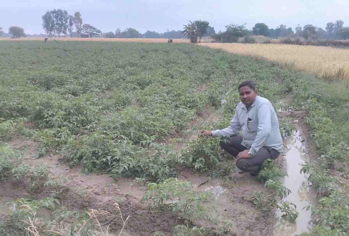 rain in up today