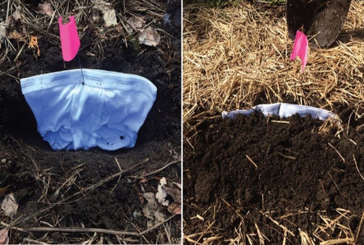 know about Soil testing with underwear