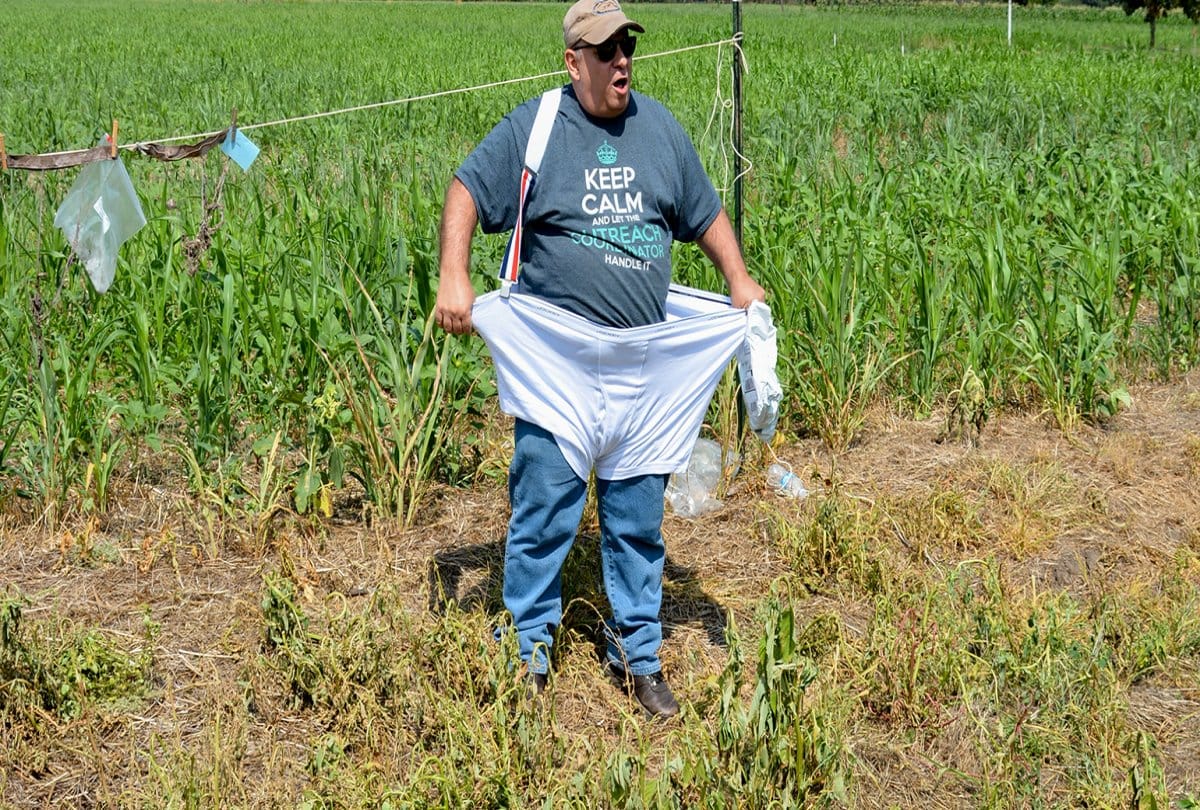 know about Soil testing with underwear
