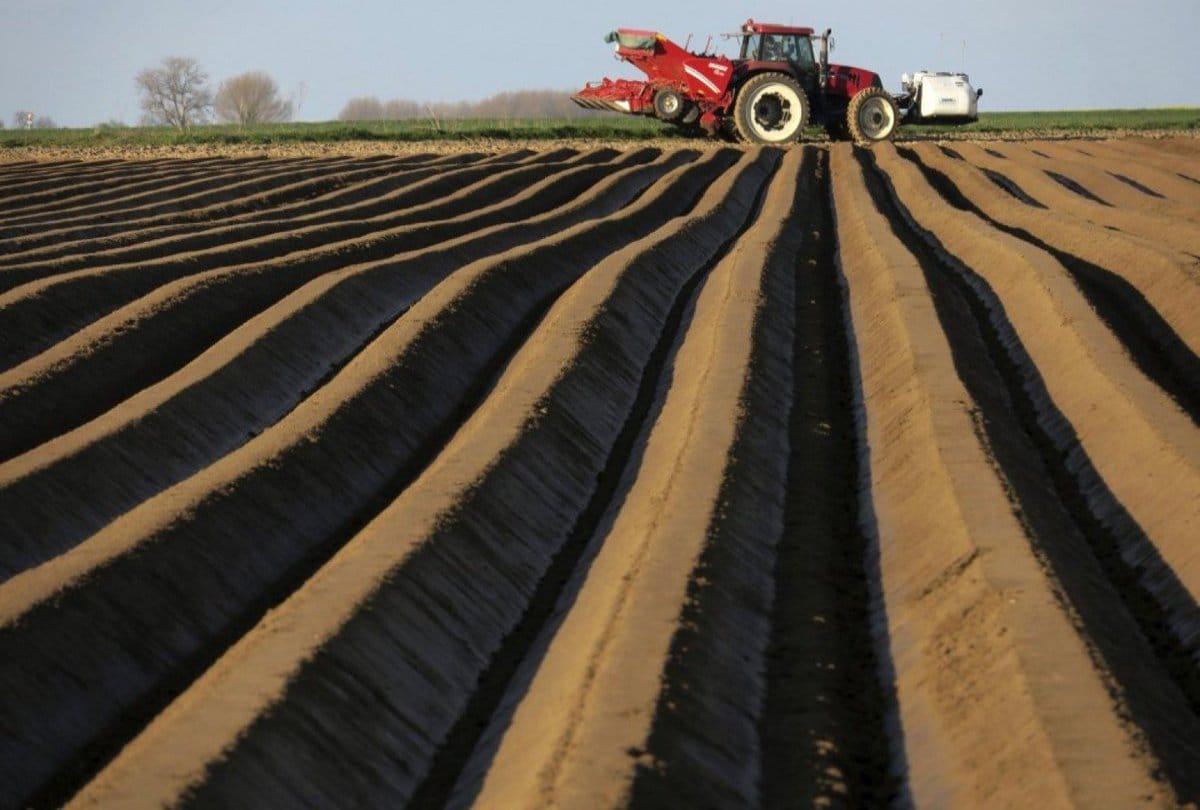 know about Soil testing with underwear