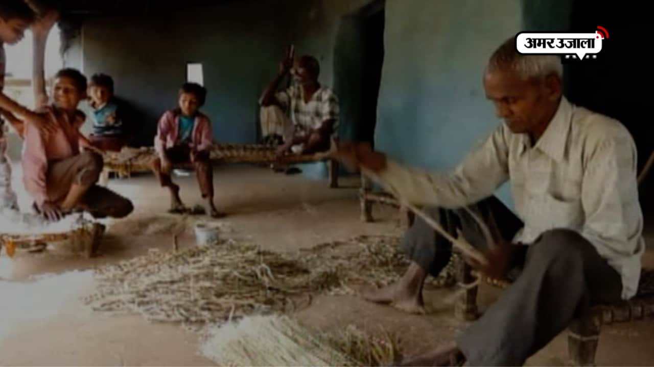 वन टांगिया