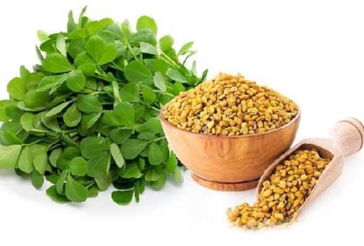 Fenugreek Leaves Benefits In Winter Season Know Methi Khane Ke Fayde In