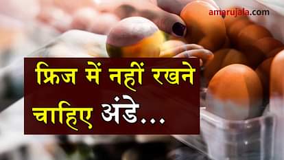 PUTTING THE EGGS IN REFRIGERATOR MAY BE HARMFUL 